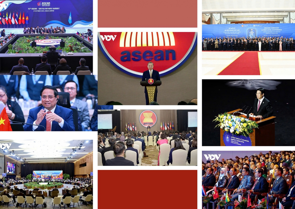 vietnam builds comprehensive diplomacy grounded in national strength picture 2