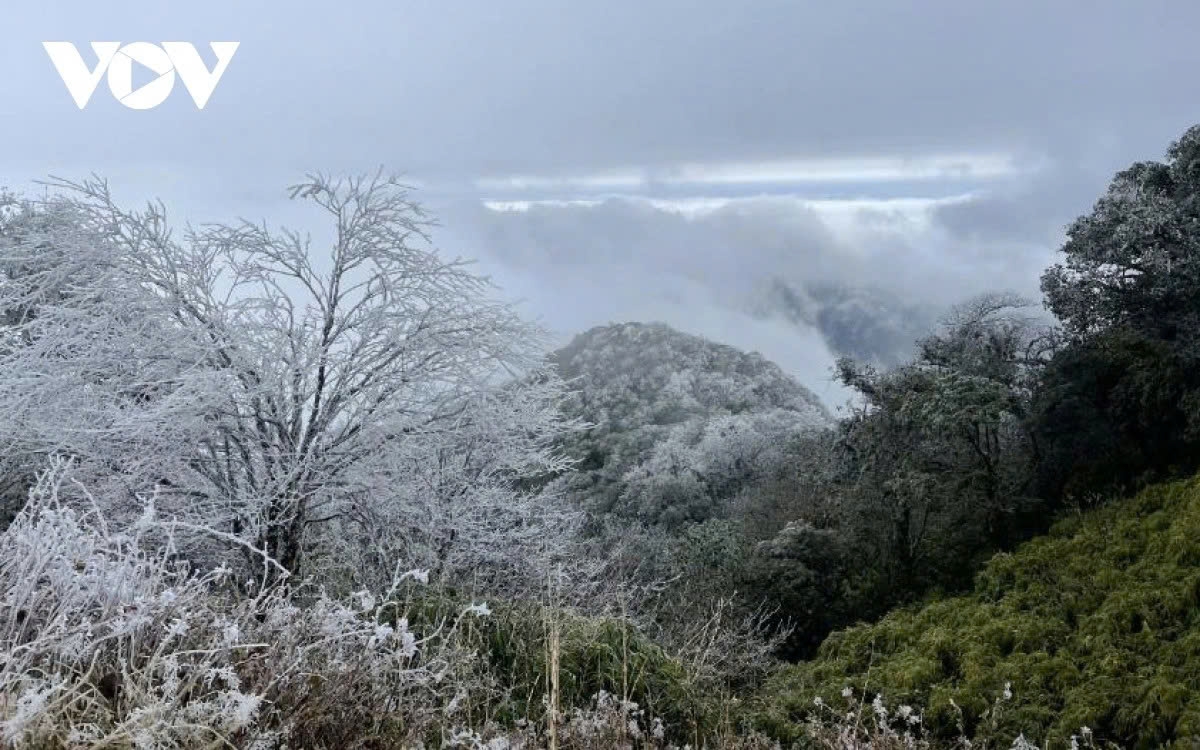 cold surge brings severe cold to northern vietnam picture 1