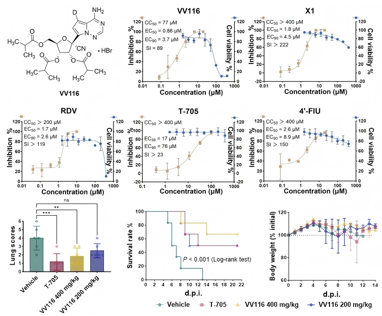trung quoc phat hien thuoc covid-19 chong virus nipah hieu qua hinh anh 1