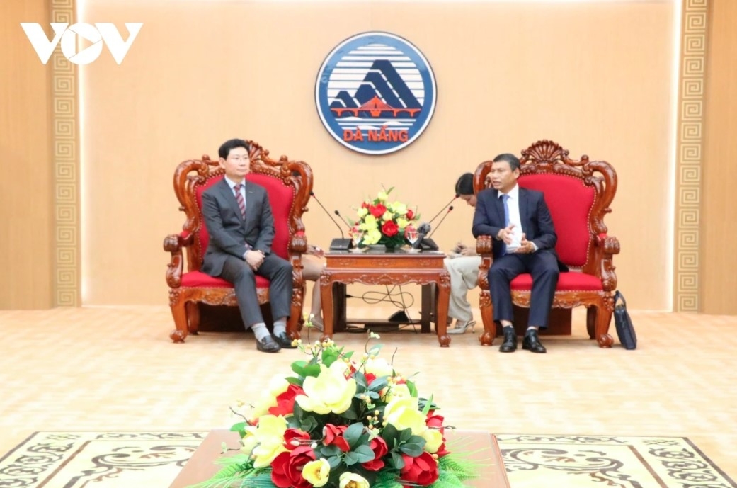 da nang, korean city strengthen investment and high-tech cooperation picture 1