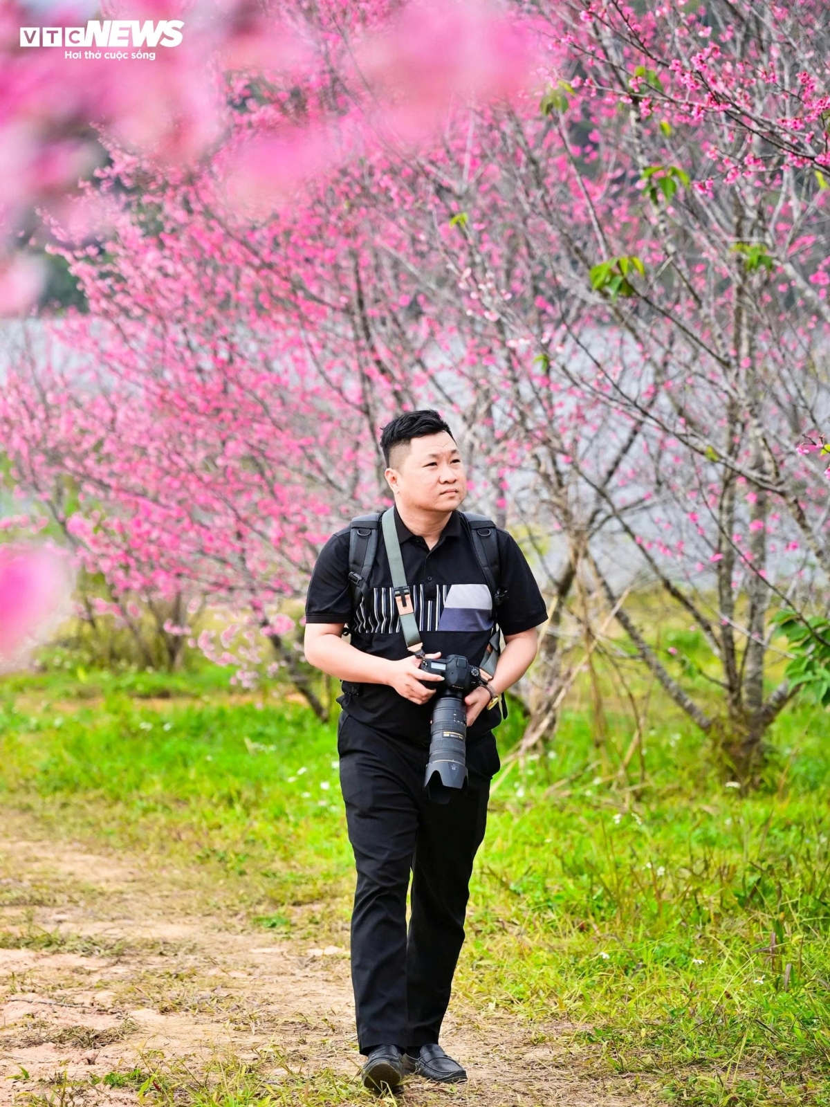 early cherry blossoms bring colour to vietnam s northern borderland picture 9