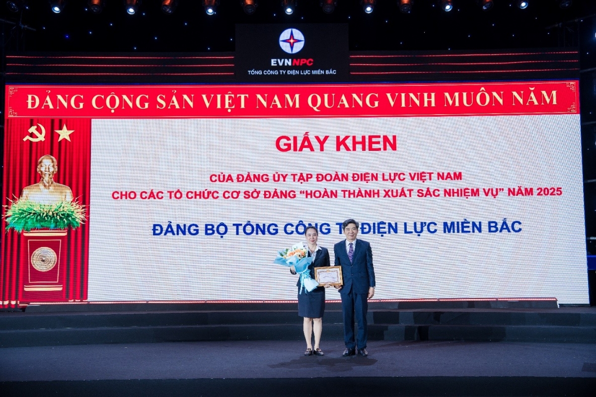 evnnpc dau an ban linh trong phat trien ha tang luoi dien hinh anh 6