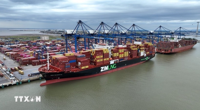 nearly 500 containers of vietnamese tea released from pakistan s karachi port picture 1