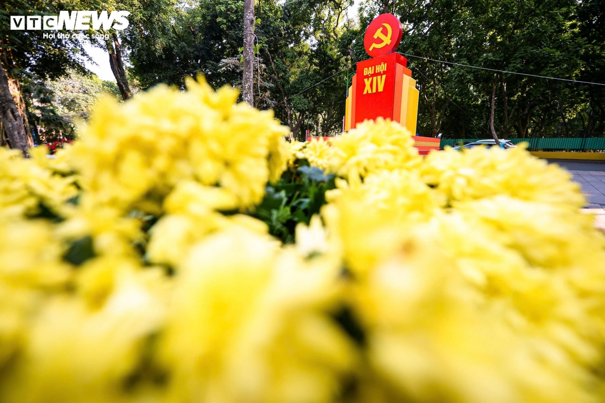 hanoi decked out to welcome 14th national party congress picture 2