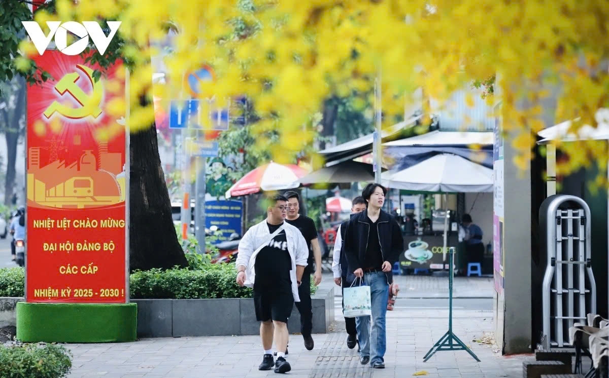 hcm city streets dressed in colour ahead of lunar new year and party congress picture 2