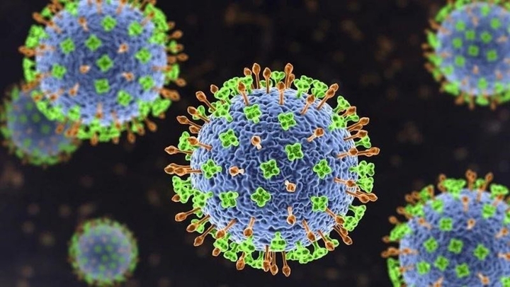 chuyen gia virus nipah kho lay lan rong nhu covid-19 hinh anh 1