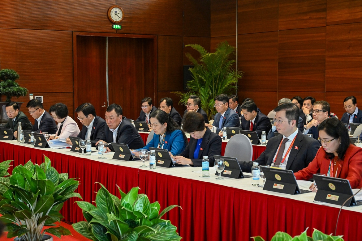 Dai bieu thao luan tai doan ve van kien trinh Dai hoi xiv cua Dang hinh anh 7