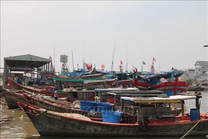 iuu combat vinh long tightens fishing port control picture 1