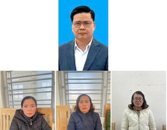 khoi to tong giam doc cong ty cp Do hop ha long hinh anh 2