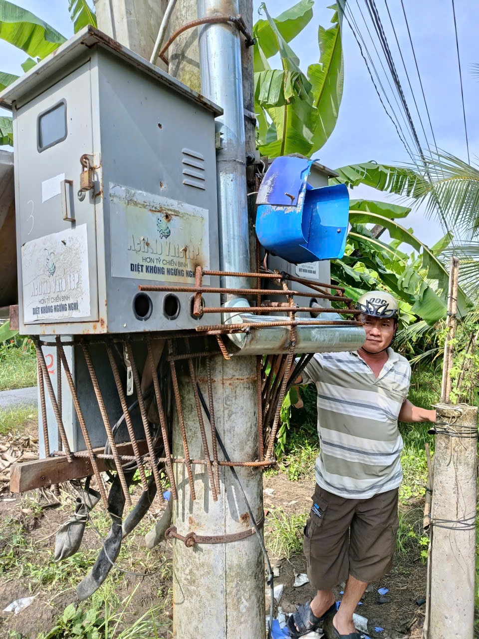 Báo động việc trộm cắp cáp điện trung hòa ở Đồng Tháp