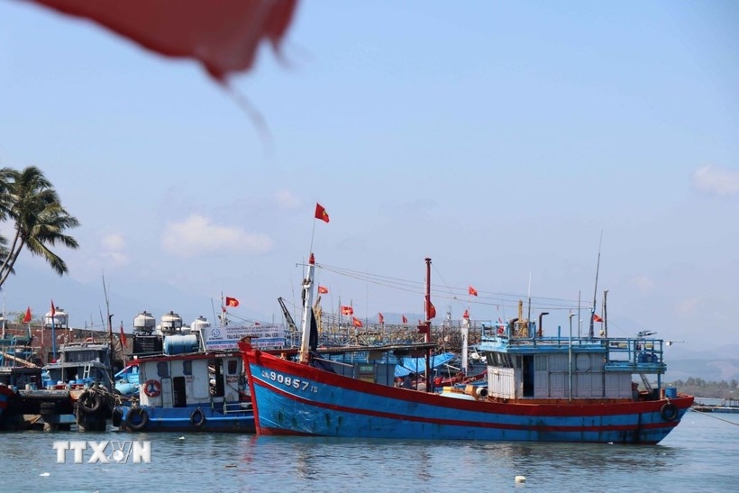 hcm city steps up law enforcement on fishing vessel monitoring system picture 1