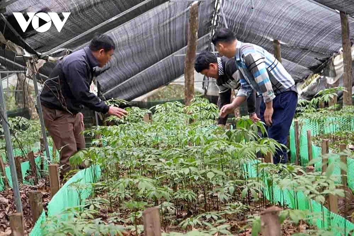 tu lai chau den son la niem tin cua nhan dan gui tron ve Dai hoi xiv cua Dang hinh anh 1