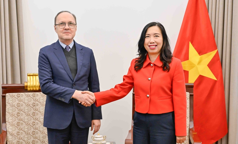 vietnamese, russian diplomats discuss measures to boost bilateral cooperation picture 1
