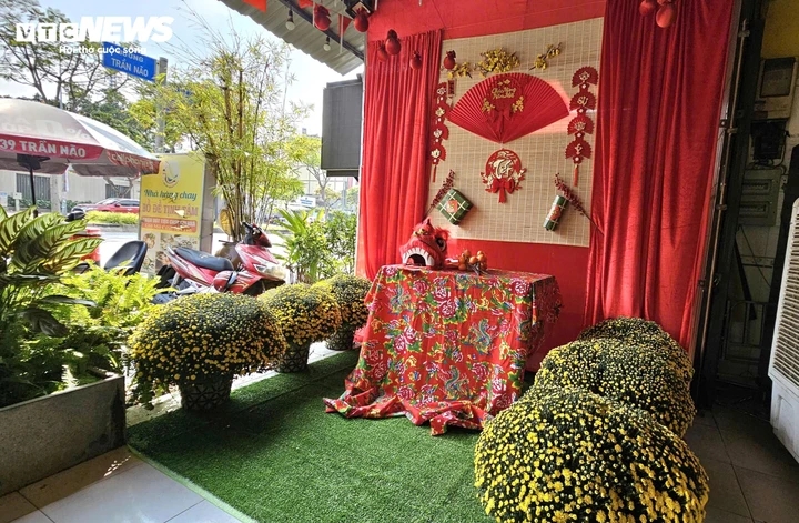 cuc mam xoi no som gia sieu re, nguoi dan tap nap mua trang tri truoc tet hinh anh 2