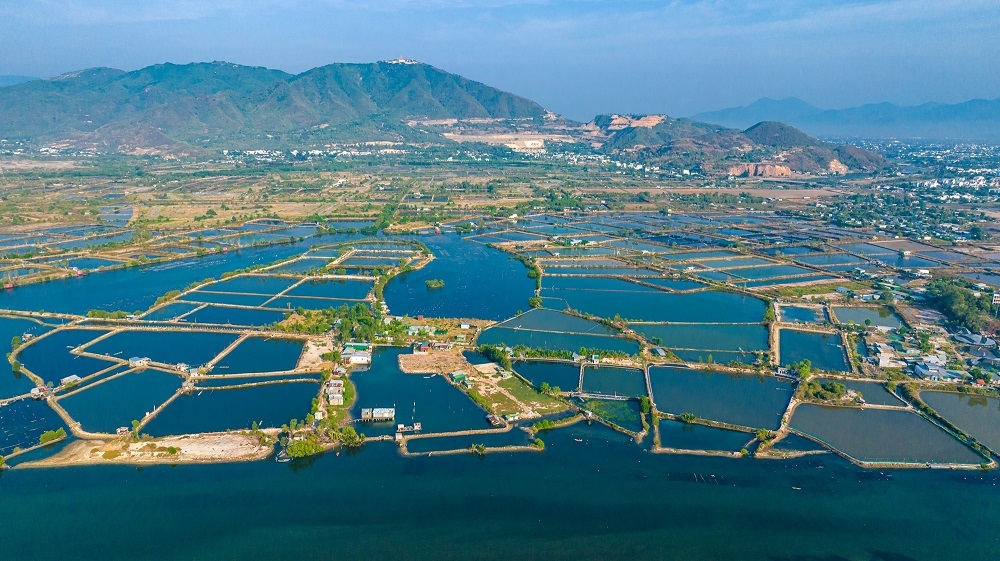 ha tang giao thong khanh hoa cat canh , du an nao huong loi hinh anh 3