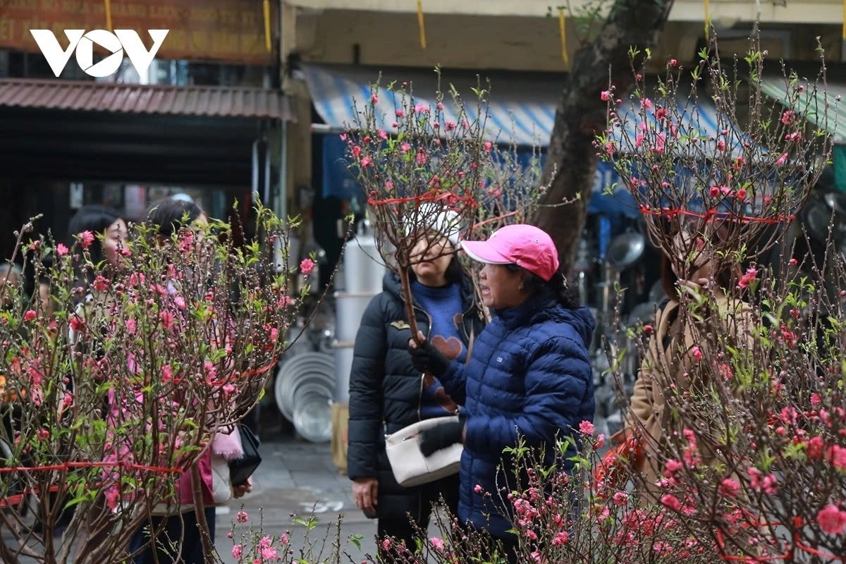 new cold spell to hit vietnam on jan. 30. chilly conditions expected picture 1