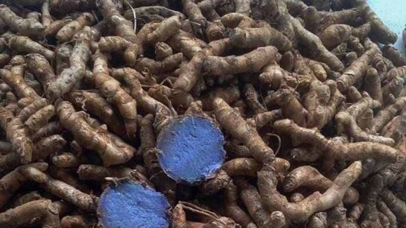 Dùng nghệ đen sao cho đúng? 5 điều nhiều người đang bỏ qua