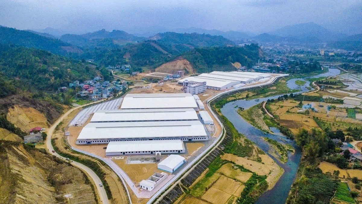 new look for forest-crossing routes in vietnam s northeast picture 8