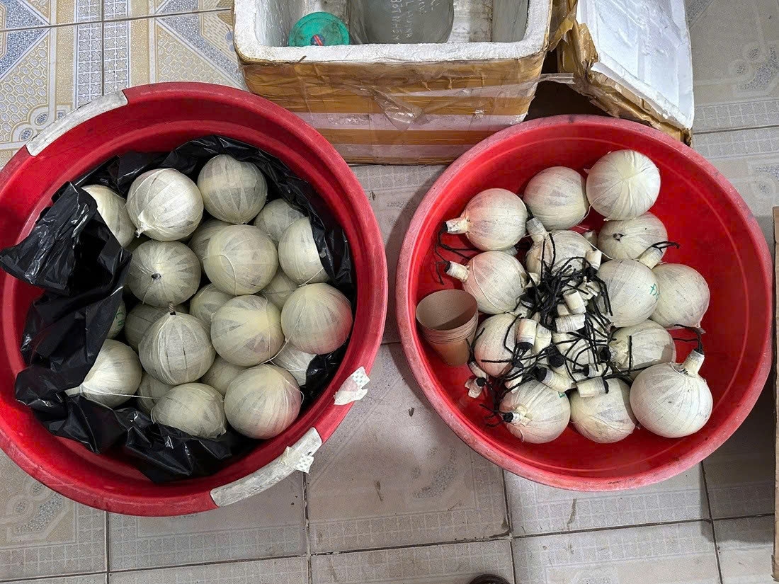Duong day phao lau tai nhieu tinh, thanh bi triet pha hinh anh 4