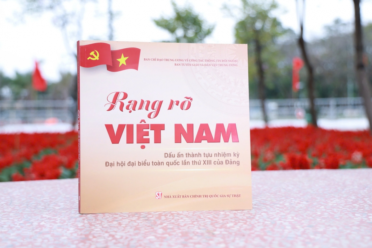  rang ro viet nam va nhung dau an thanh tuu nhiem ky Dai hoi xiii cua Dang hinh anh 1