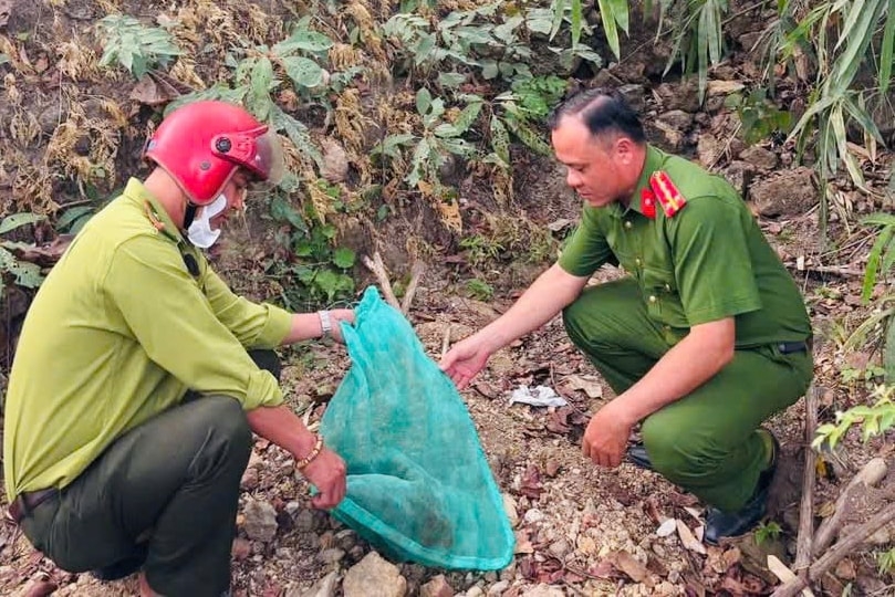 two rare, endangered animals released back into the wild in lam dong picture 1