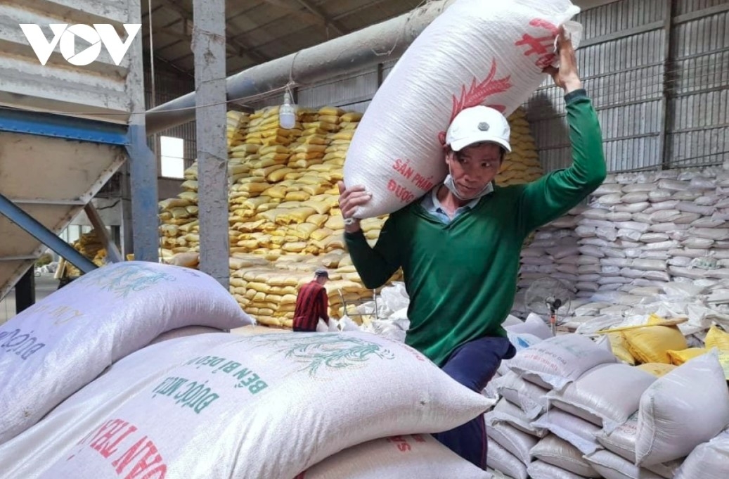 vietnamese rice shipments pick up after philippines reopens imports picture 1