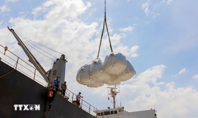 vietnam exports over 8 million tonnes of rice in 2025 picture 1