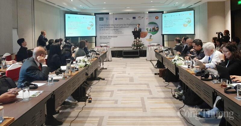 low-emission rice seen as pathway to strengthen vietnamese rice brand picture 1