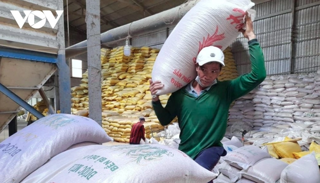 Vietnamese rice shipments pick up after Philippines reopens imports