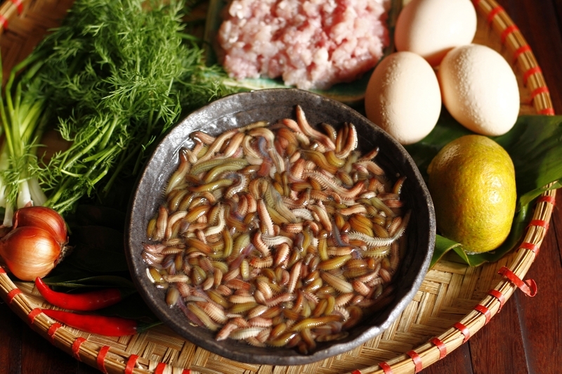 Rươi - món ăn hiếm mỗi năm chỉ có một mùa, tốt đến mức nào cho cơ thể?