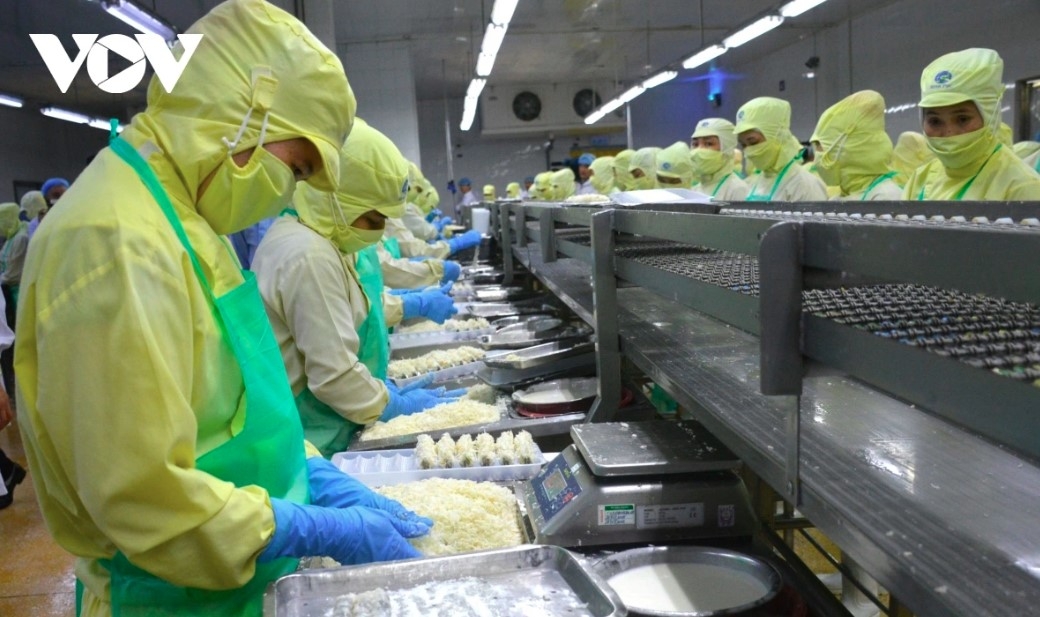 china spends us 1.23 billion on vietnamese shrimp in 2025 picture 1