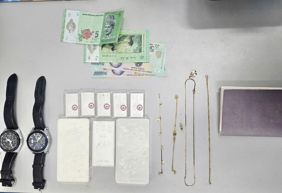 bat giu 2 nguoi nuoc ngoai trom cap tai san o Da nang hinh anh 2