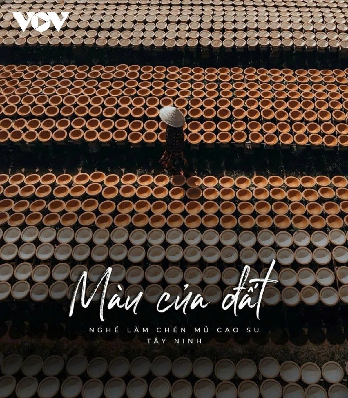 tay ninh pottery reviving beauty from dormant clay picture 1