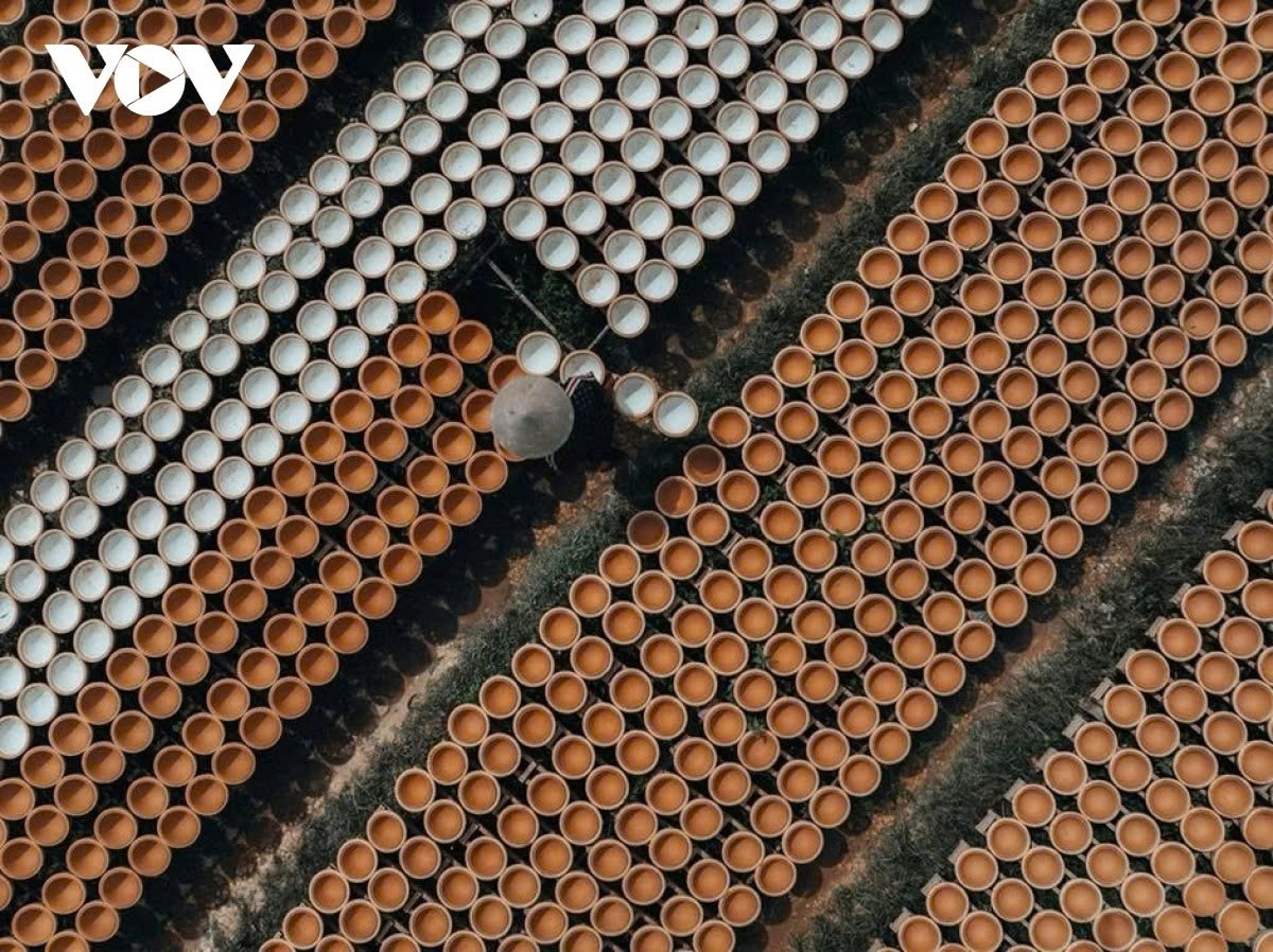 tay ninh pottery reviving beauty from dormant clay picture 10