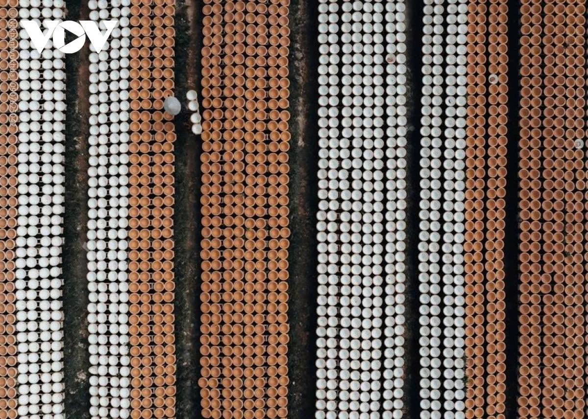 tay ninh pottery reviving beauty from dormant clay picture 9