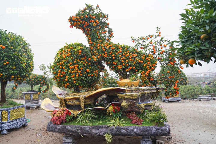 unique bonsai kumquat trees mark lunar new year of horse picture 4