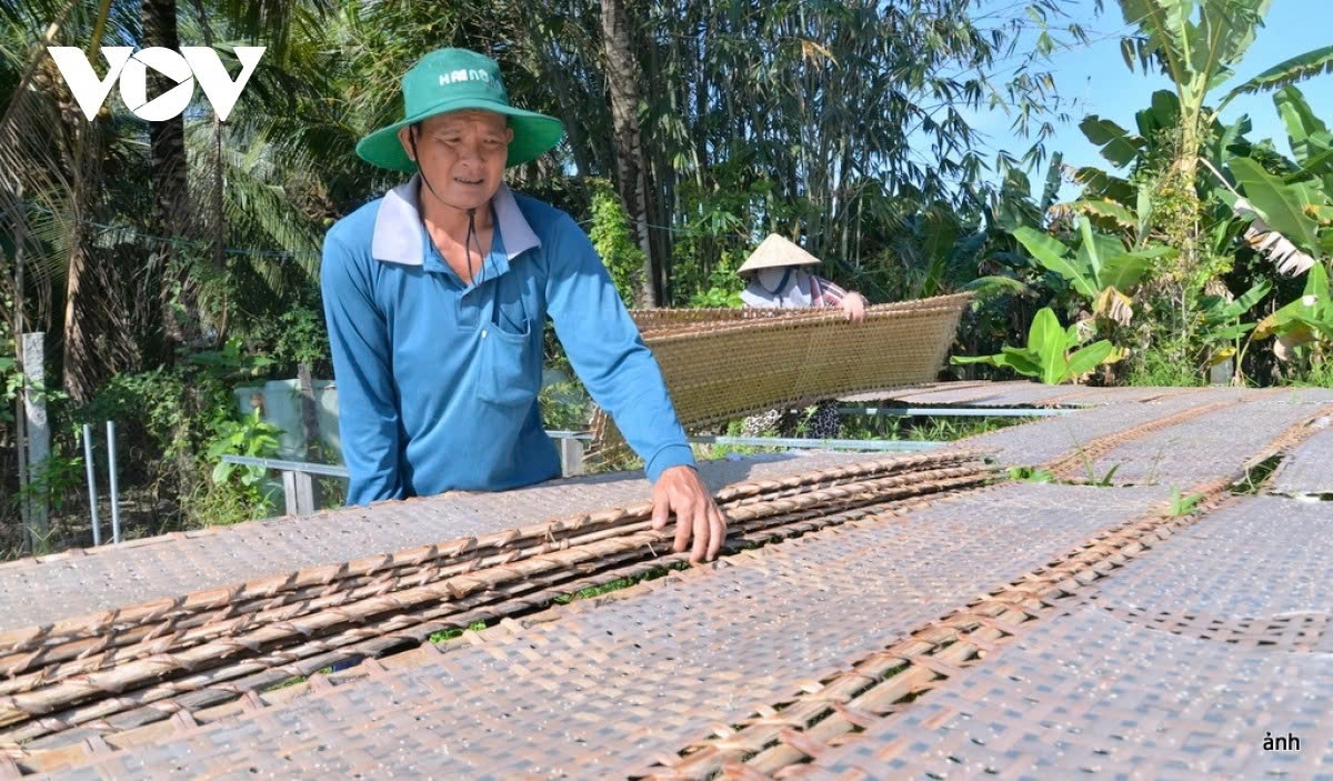 200-year-old rice paper village busy preparing for tet picture 2