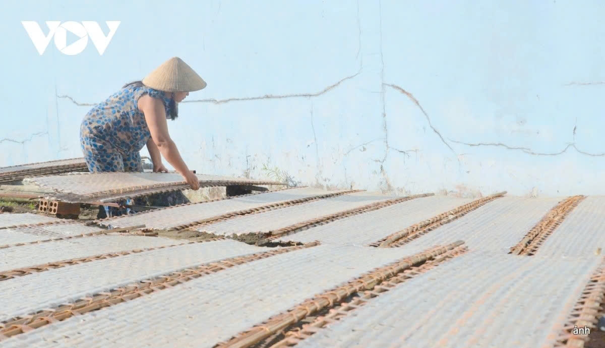 200-year-old rice paper village busy preparing for tet picture 4