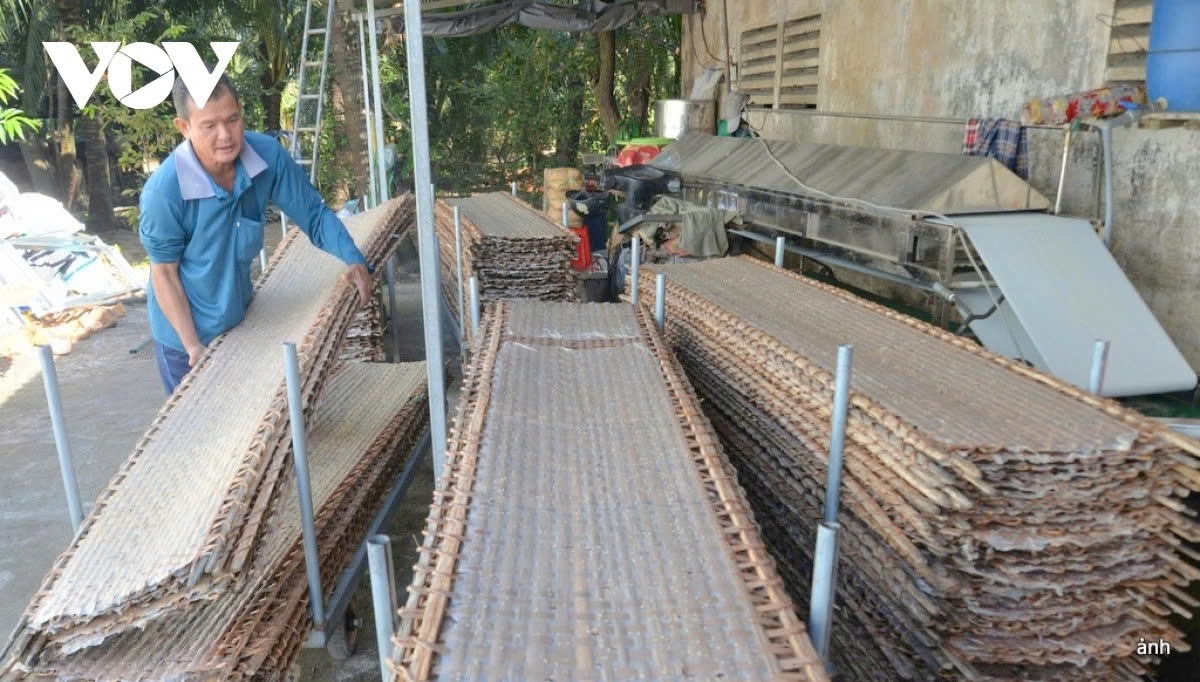 200-year-old rice paper village busy preparing for tet picture 8