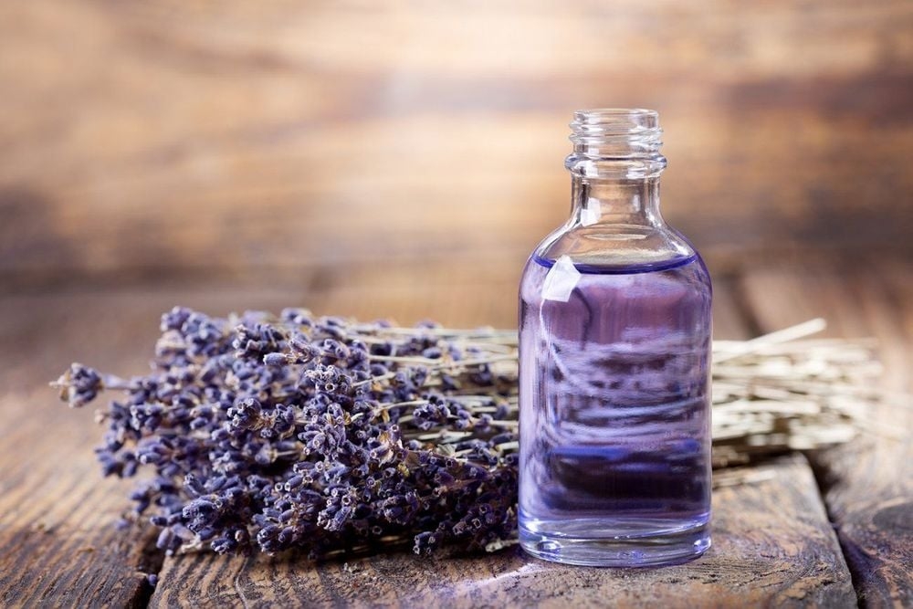 Vì sao tinh dầu lavender được xem là “thần dược” cho sức khỏe và làn da?