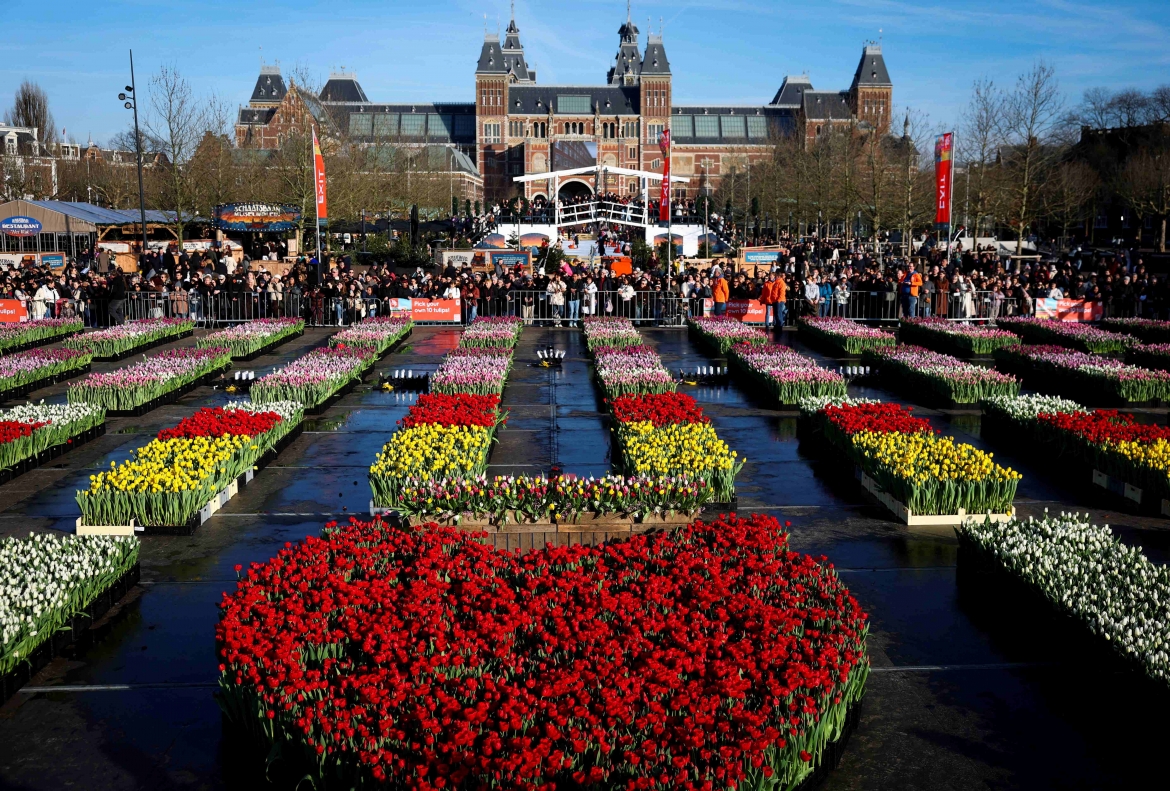 Tưng bừng Ngày hoa Tulip quốc gia lần thứ 13 tại Hà Lan