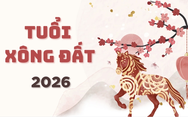 nam binh ngo 2026 tuoi nao xong dat tot hinh anh 1
