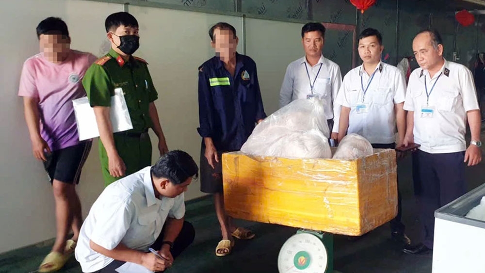 tieu huy 2 tan thit heo dang bien doi mau sac o tp.hcm hinh anh 2