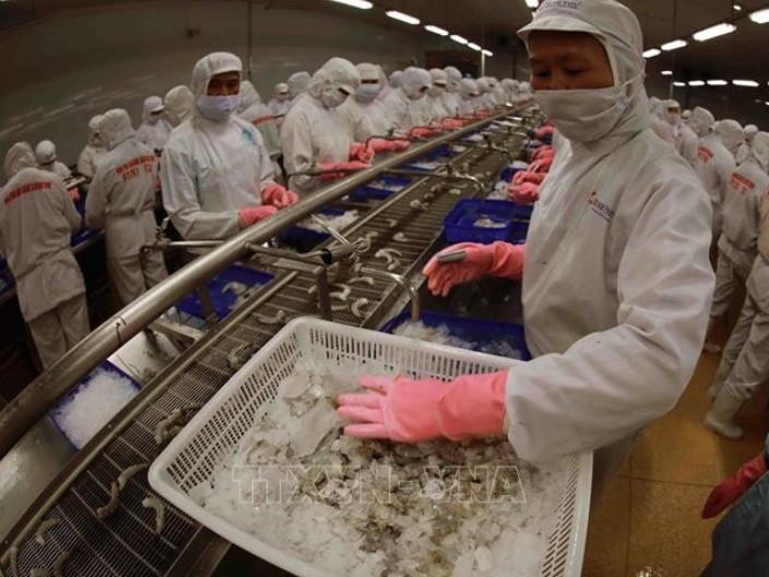 vietnam builds sustainable supply chain in multipolar trade order expert picture 1