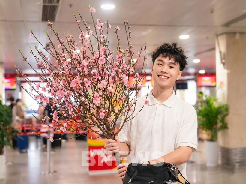 vietjet to transport apricot, peach blossoms on lunar new year occasion picture 1