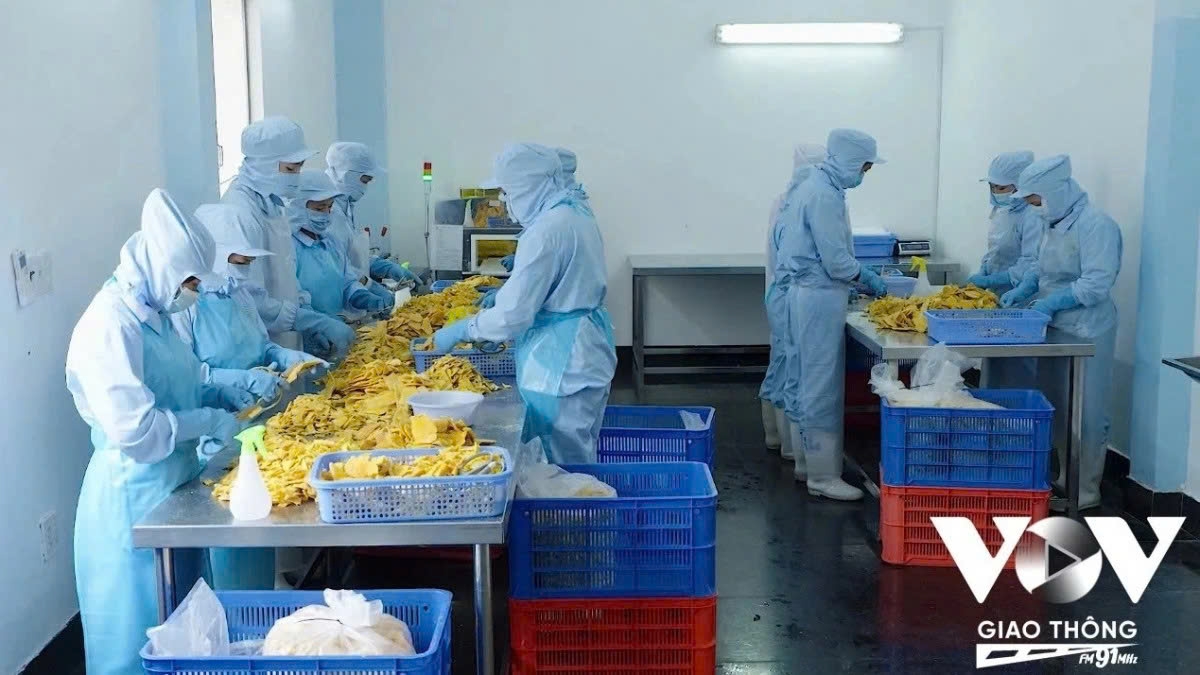 businesses upbeat about post-congress policy agenda picture 2