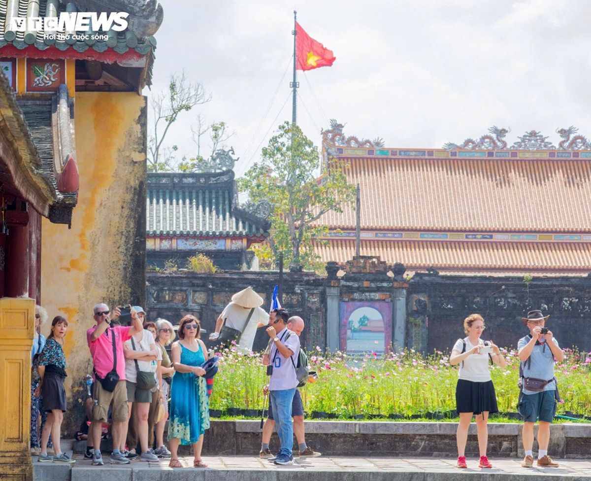 foreign visitors embrace lunar new year traditions at hue imperial citadel picture 11