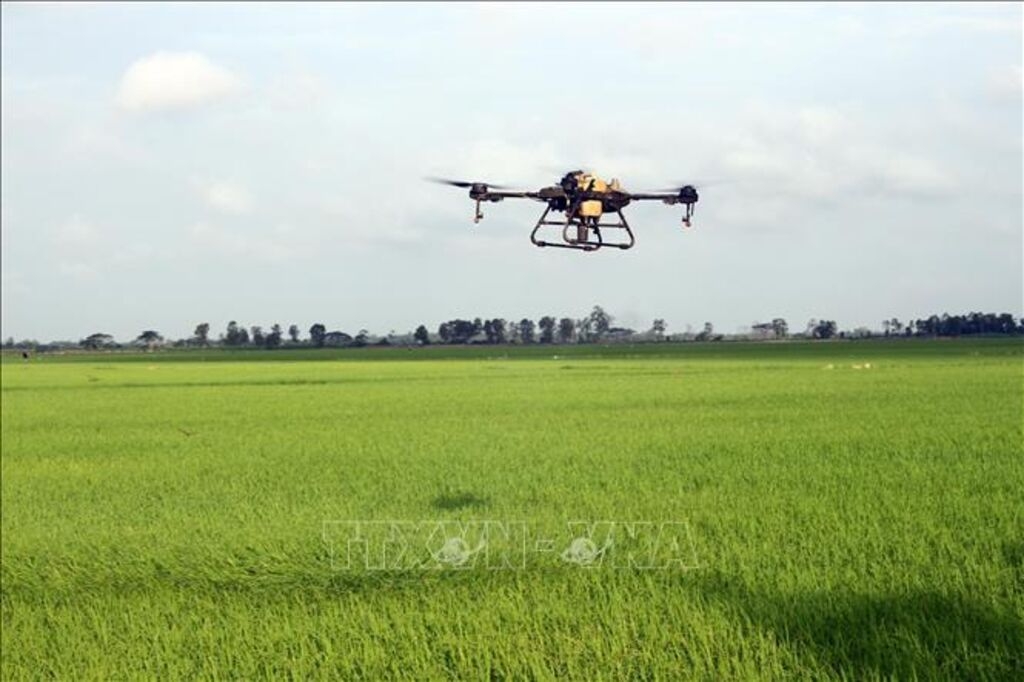 Đbscl bước vào giai đoạn phát triển mới bằng khoa học công nghệ hình ảnh 1 Dbscl buoc vao giai doan phat trien moi bang khoa hoc cong nghe hinh anh 1