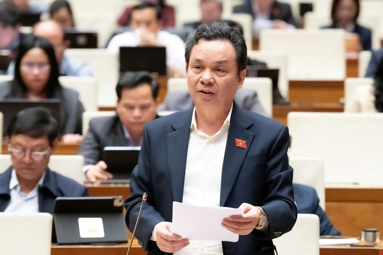 Lá phiếu hôm nay, tương lai ngày mai