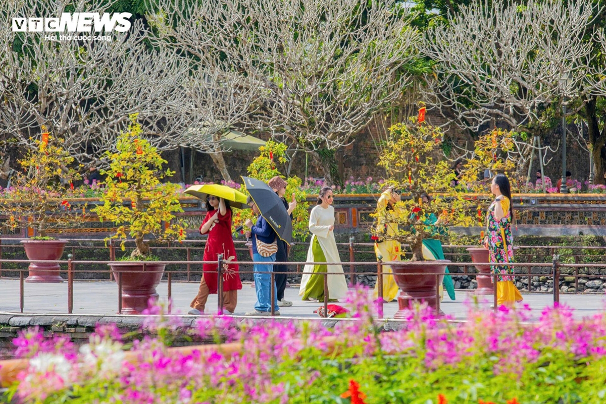 foreign visitors embrace lunar new year traditions at hue imperial citadel picture 4